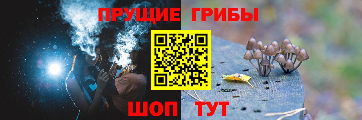 Десногорск  Псилоцибиновые грибы мицелий  цена наркотик  Вход с VPN 